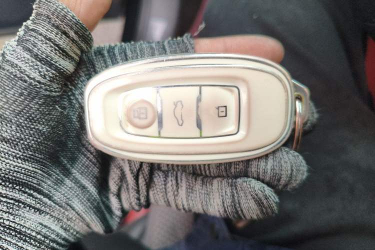 Used Hongqi E-QM5 2023 620km PLUS Vehicle Key