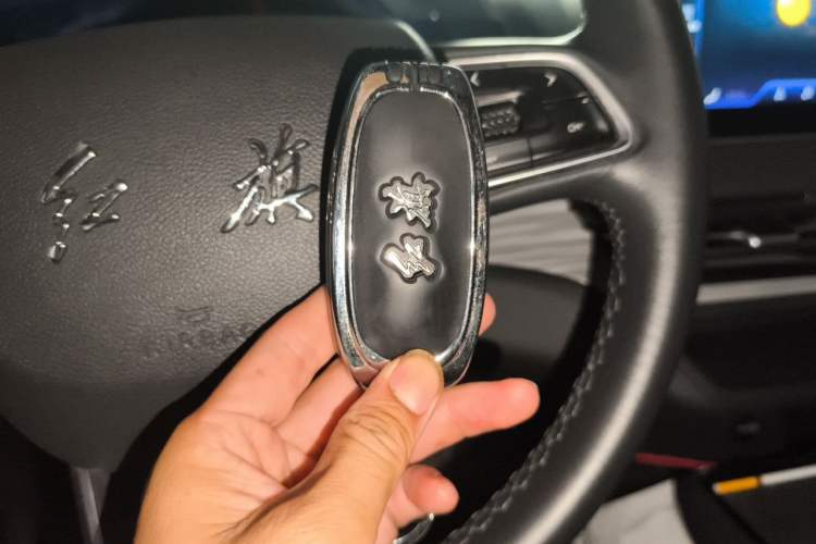 Used Hongqi E-QM5 2023 620km PLUS Vehicle Key