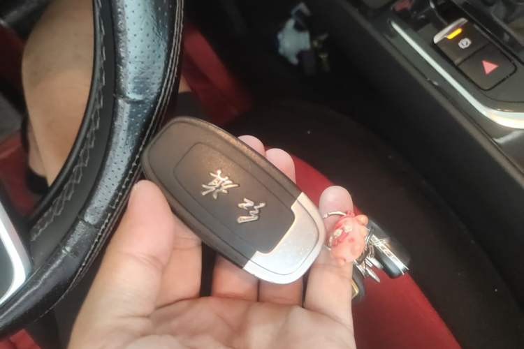 Used Hongqi E-QM5 2023 Base Travel Edition Vehicle Key