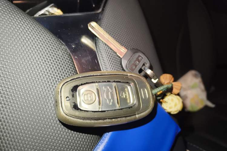 Used Hongqi E-QM5 2023 560km PLUS Vehicle Key