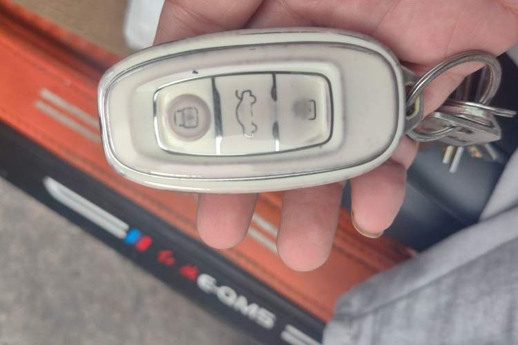 Used Hongqi E-QM5 2023 620km PLUS Vehicle Key