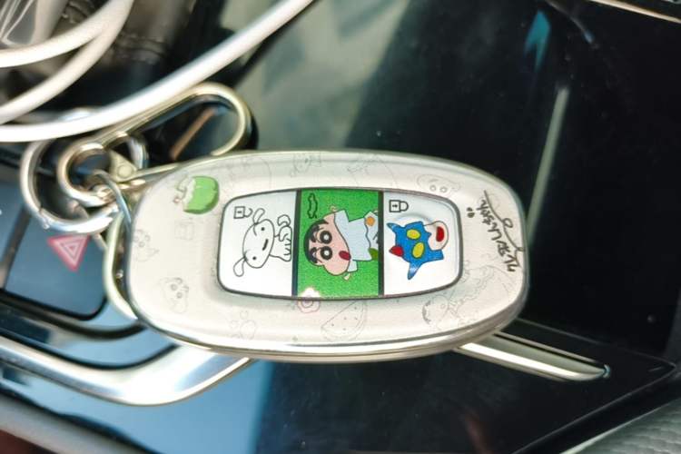 Used Hongqi E-QM5 2023 Revised Version Basic Travel Edition Vehicle Key