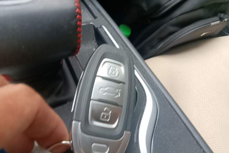 Used Hongqi E-QM5 2023 620km PLUS Vehicle Key