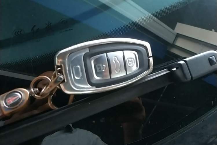 Used Hongqi E-QM5 2023 Revised Version Basic Travel Edition Vehicle Key