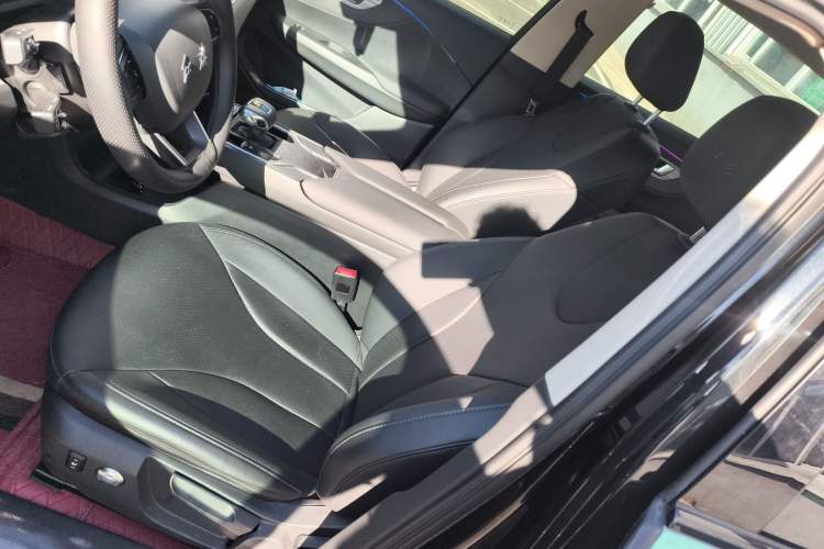 Used Hongqi E-QM5 2023 620km PLUS Left Front Seat