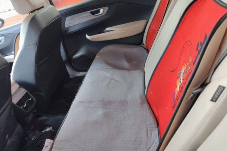 Used Hongqi E-QM5 2023 620km PLUS Left Rear Seat