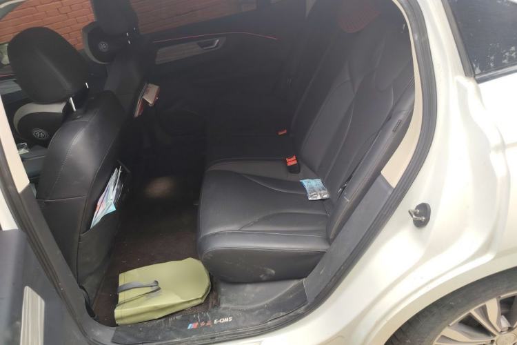 Used Hongqi E-QM5 2023 620km PLUS Left Rear Seat