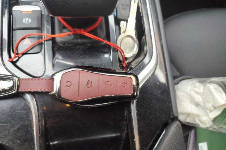 Used Hongqi E-QM5 2023 620km PLUS Vehicle Key