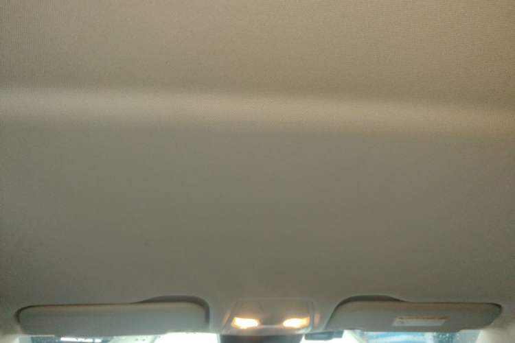 Used Hongqi E-QM5 2023 560km PLUS Headliner