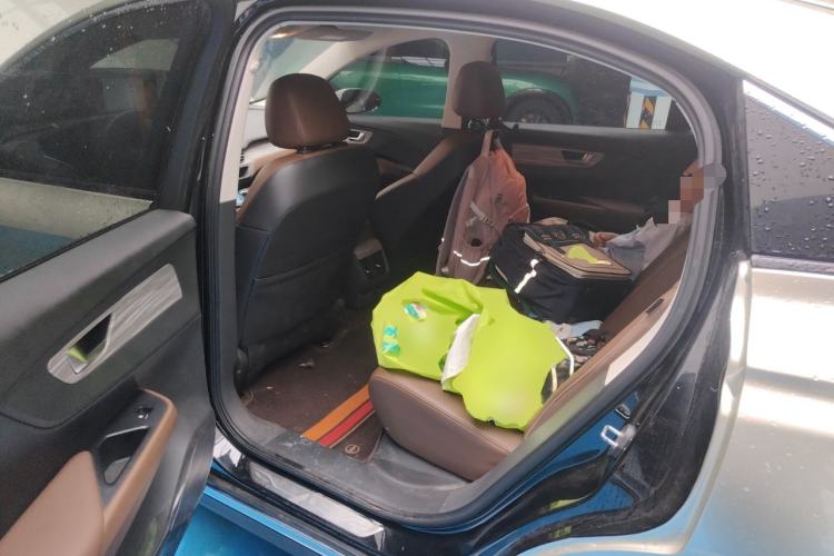 Used Hongqi E-QM5 2023 560km PLUS Left Rear Seat
