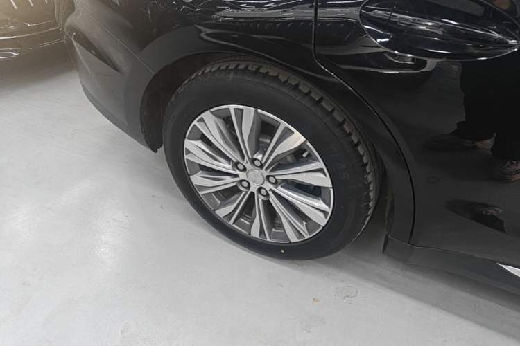 Used Hongqi E-QM5 2024 610 km PLUS Exterior 5