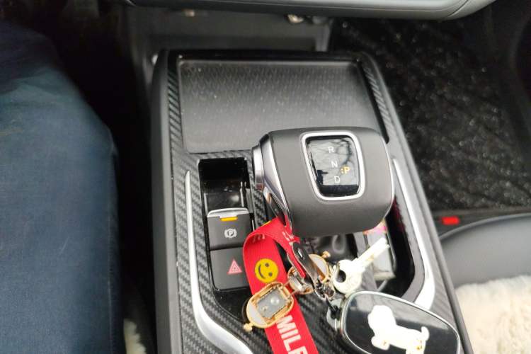 Used Hongqi E-QM5 2024 560km PLUS Gear Lever