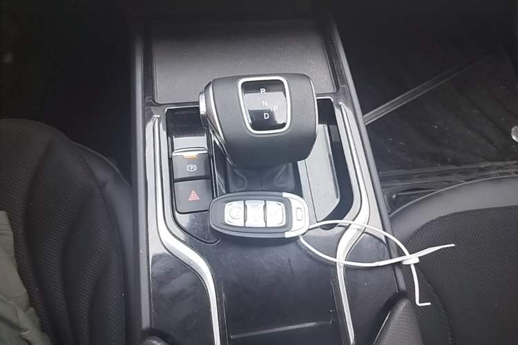 Used Hongqi E-QM5 2024 610 km PLUS Gear Lever