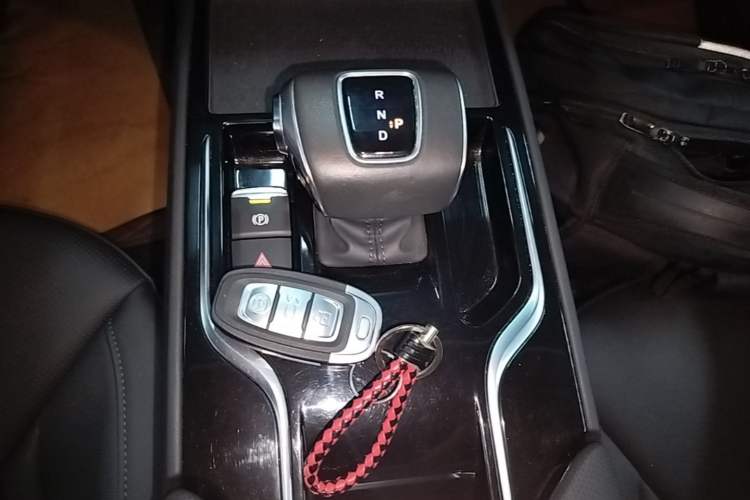 Used Hongqi E-QM5 2024 560km PLUS Gear Lever