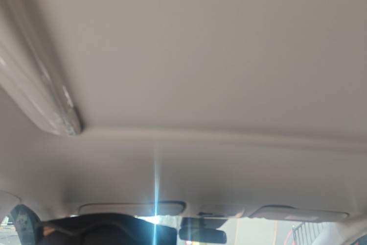 Used Hongqi E-QM5 2024 500km Range Edition Headliner