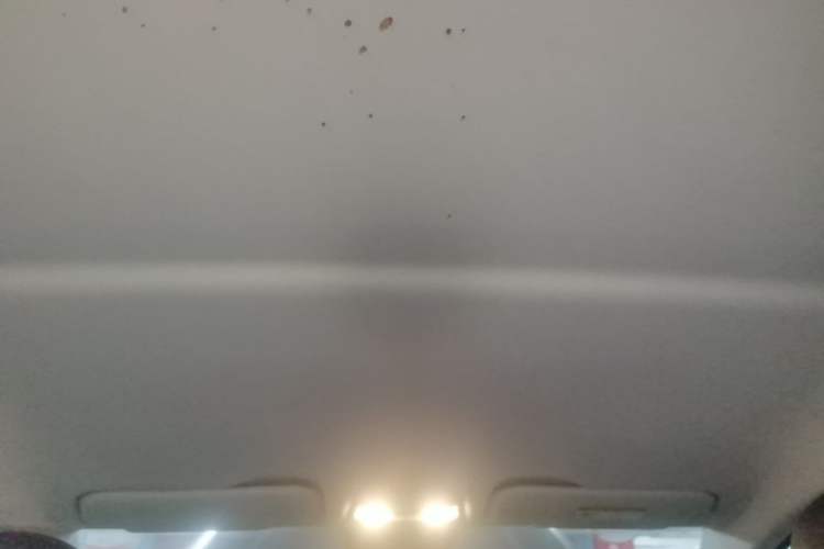 Used Hongqi E-QM5 2024 500km Range Edition Headliner