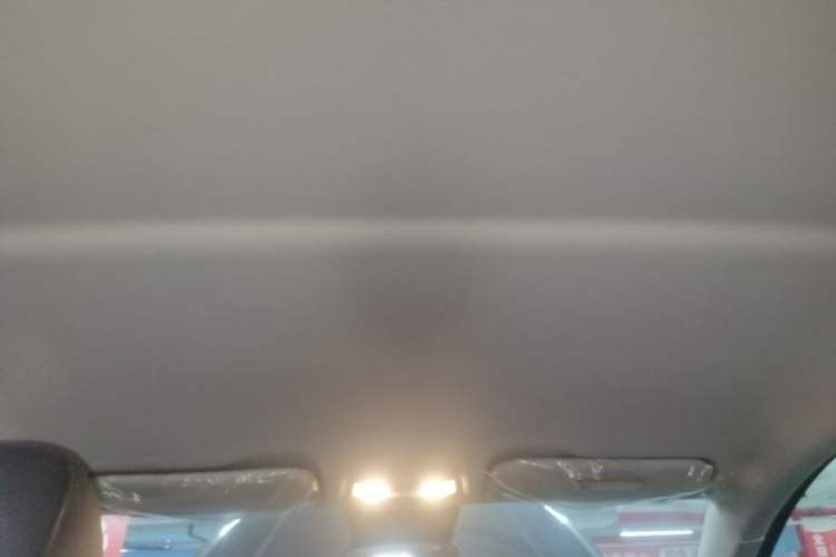 Used Hongqi E-QM5 2024 500km Range Edition Headliner