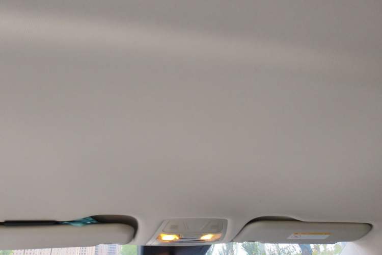 Used Hongqi E-QM5 2024 500km Range Edition Headliner