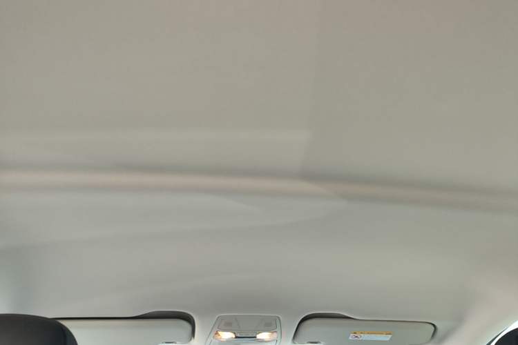 Used Hongqi E-QM5 2024 450km Range Commuter Version Headliner