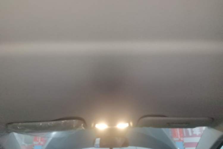 Used Hongqi E-QM5 2024 500km Range Edition Headliner