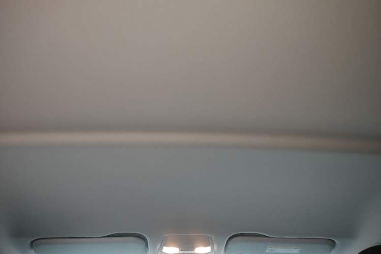 Used Hongqi E-QM5 2024 560km PLUS Headliner