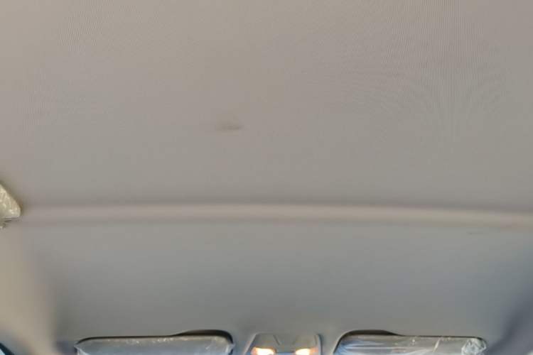 Used Hongqi E-QM5 2024 560km PLUS Headliner