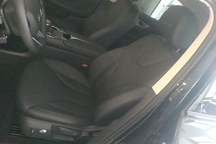 Used Hongqi E-QM5 2024 610 km PLUS Left Front Seat