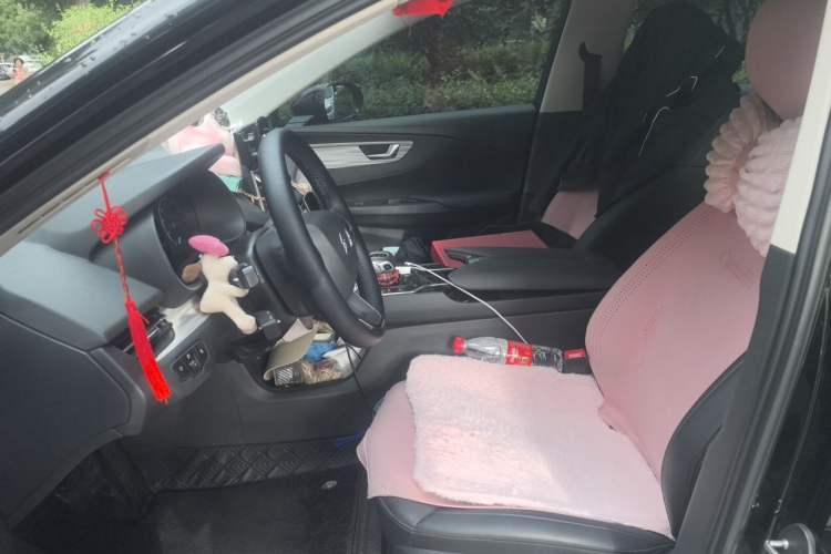 Used Hongqi E-QM5 2024 500km Range Edition Left Front Seat