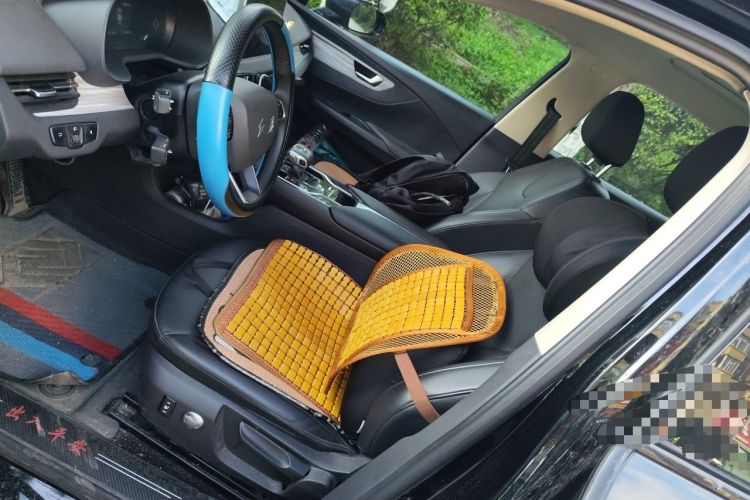 Used Hongqi E-QM5 2024 610 km PLUS Left Front Seat