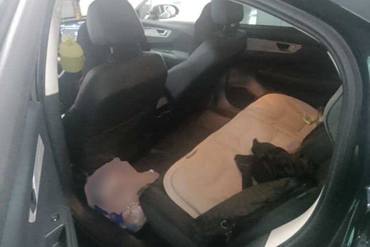 Used Hongqi E-QM5 2024 610 km PLUS Left Rear Seat