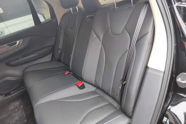 Used Hongqi E-QM5 2024 450km Range Commuter Version Left Rear Seat