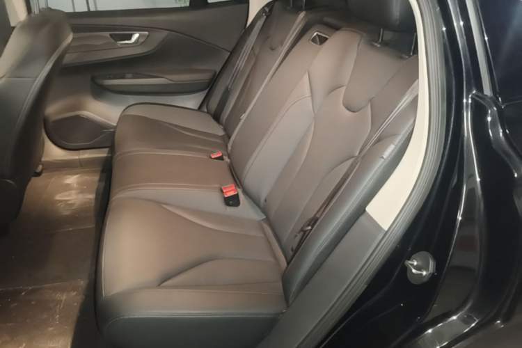 Used Hongqi E-QM5 2024 450km Range Commuter Version Left Rear Seat