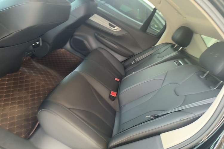 Used Hongqi E-QM5 2024 560km PLUS Left Rear Seat