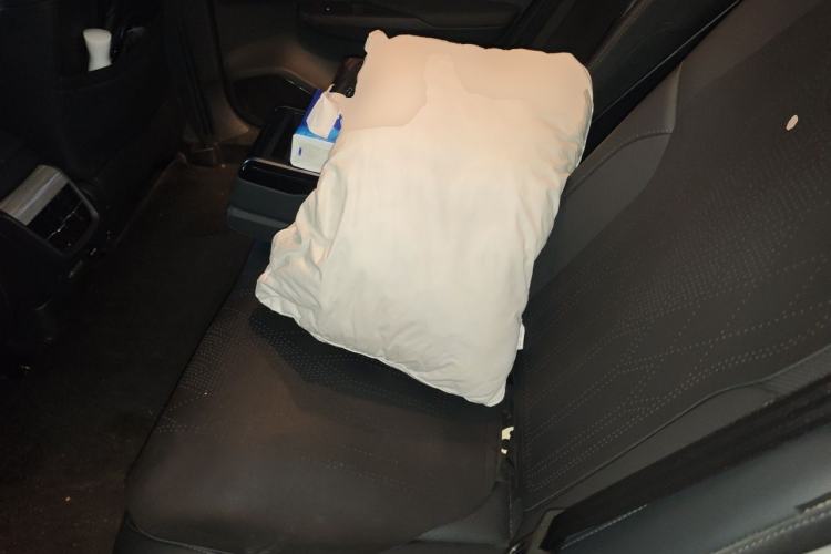 Used Hongqi E-QM5 2024 610 km PLUS Left Rear Seat