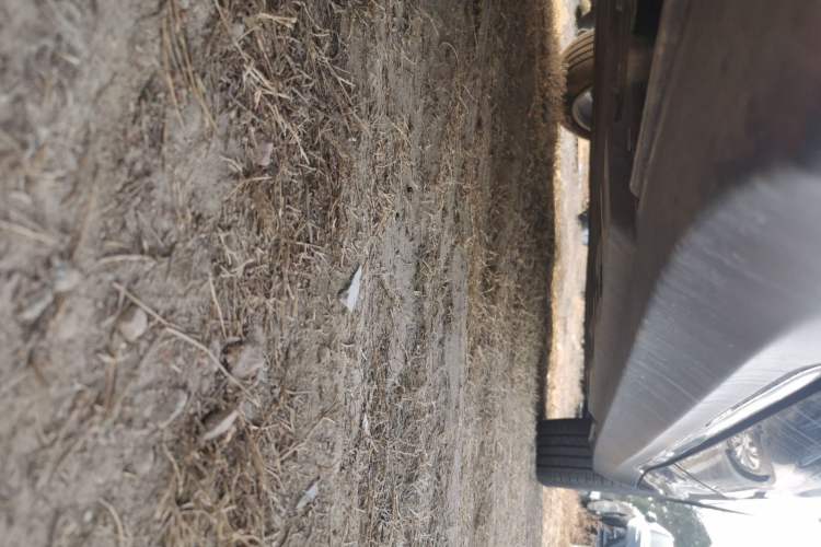 Used Hongqi E-QM5 2024 500km Range Edition Left Side Sill