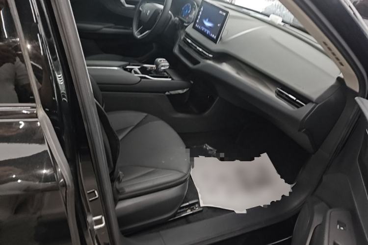 Used Hongqi E-QM5 2024 450km Range Commuter Version Right Front Seat