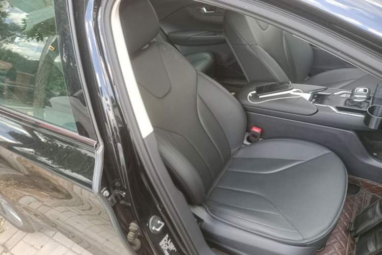 Used Hongqi E-QM5 2024 450km Range Commuter Version Right Front Seat