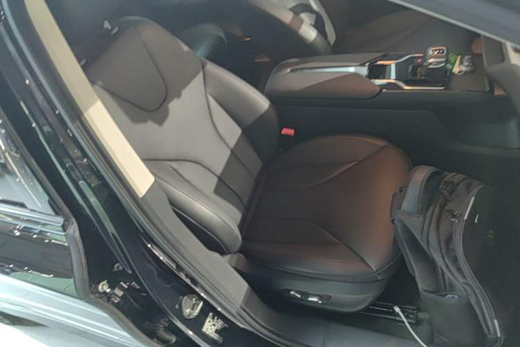 Used Hongqi E-QM5 2024 500km Range Edition Right Front Seat