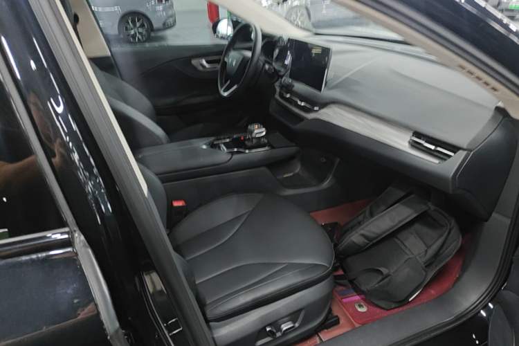 Used Hongqi E-QM5 2024 500km Range Edition Right Front Seat