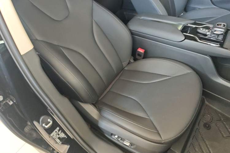 Used Hongqi E-QM5 2024 560km PLUS Right Front Seat