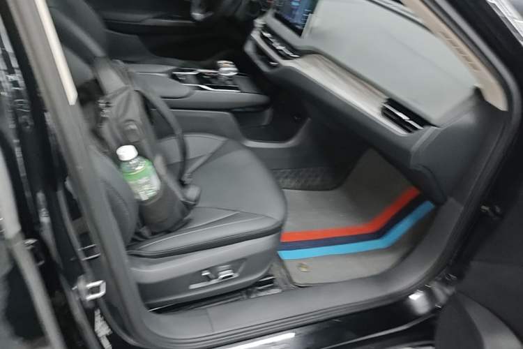 Used Hongqi E-QM5 2024 500km Range Edition Right Front Seat