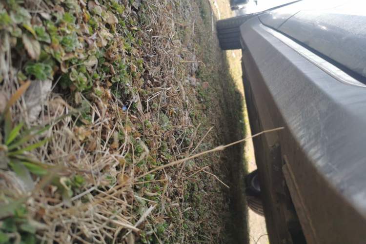 Used Hongqi E-QM5 2024 500km Range Edition Right Side Sill