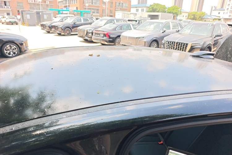 Used Hongqi E-QM5 2024 450km Range Commuter Version Roof