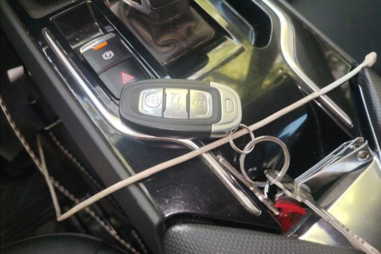 Used Hongqi E-QM5 2024 500km Range Edition Vehicle Key