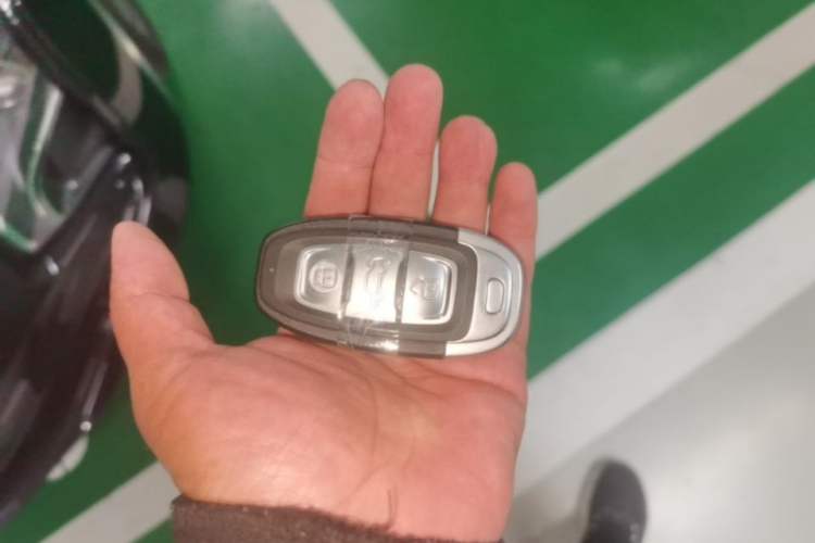 Used Hongqi E-QM5 2024 500km Range Edition Vehicle Key