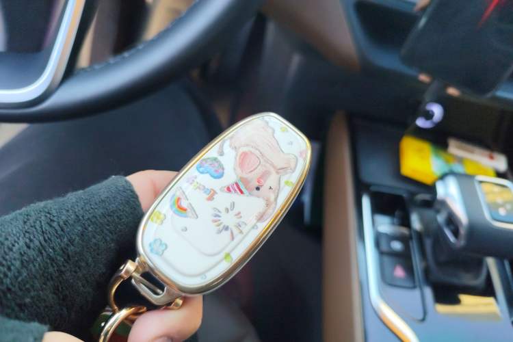 Used Hongqi E-QM5 2024 610 km PLUS Vehicle Key