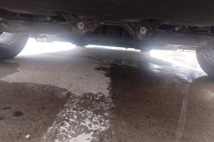Used Hongqi E-QM5 2024 610 km PLUS Chassis Rear
