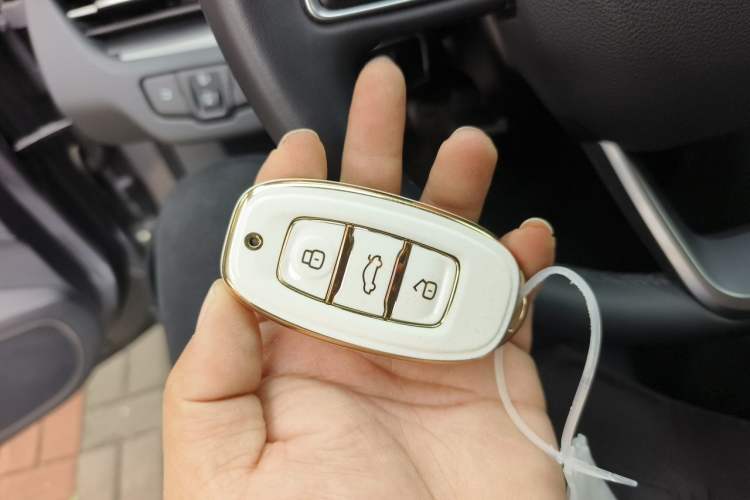 Used Hongqi E-QM5 2024 610 km PLUS Vehicle Key