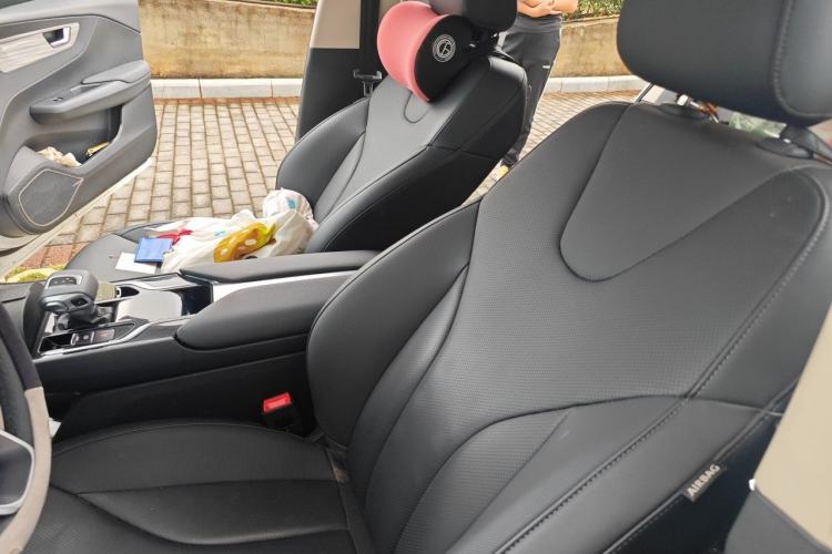 Used Hongqi E-QM5 2024 500km Range Edition Left Front Seat