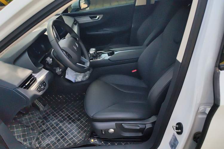 Used Hongqi E-QM5 2024 560km PLUS Left Front Seat